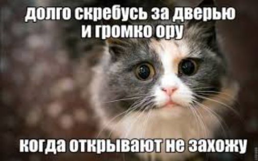 долю сипешсь за двепью _ и тонко ош когда ВТИВЫВВШЛ ЦВЁВХОЖУ