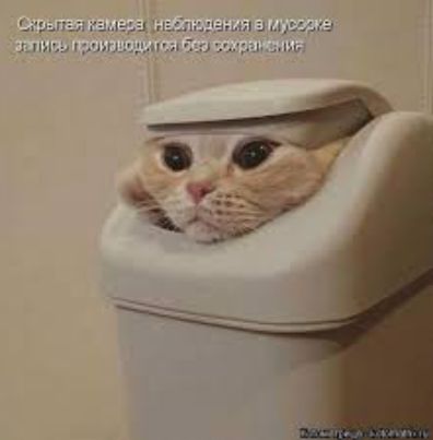 ь и маге
