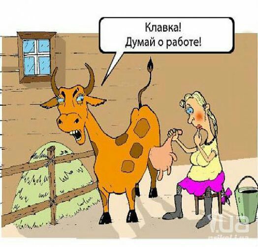 Кпавка думай о работе