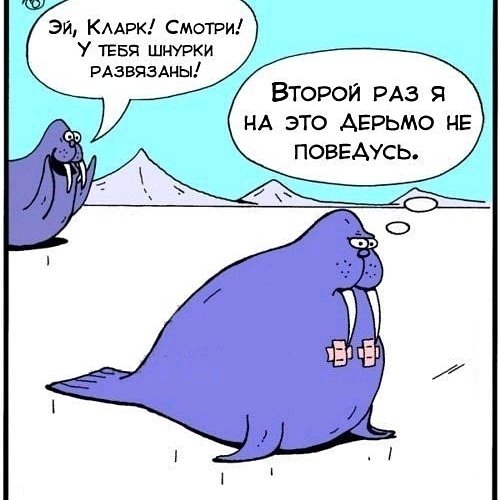Эй КААРК Смотри У ТЕБЯ шнурки РАЗВЯЗАНЫ Второй РАЗ 51 НА это дерьмо НЕ ПОВЕАУСЬ