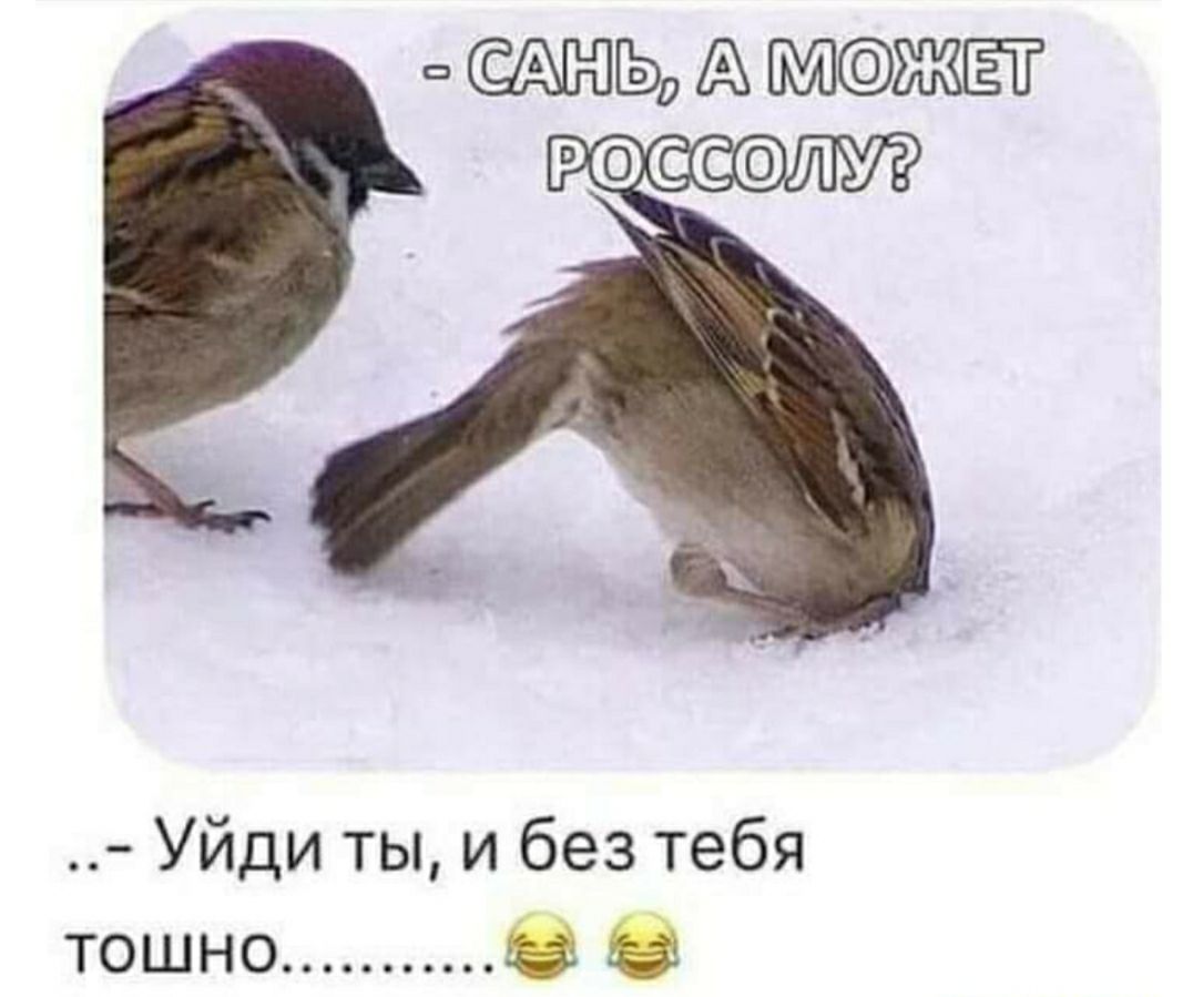 аЁЁъДЦМКЖЖЁЁ Уйдитыибезтебя тошно іііі