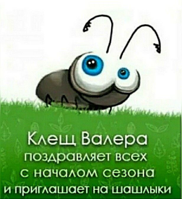 КАеЩ ВОАеро поздрОВАяет всех НОЧОАОМ сезоне И примошоет НО ЦКЦЦАЫКИ