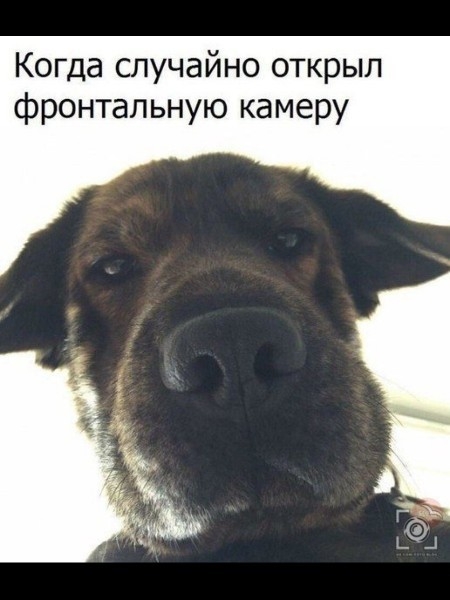 Когда случайно открыл фронтальную камеру