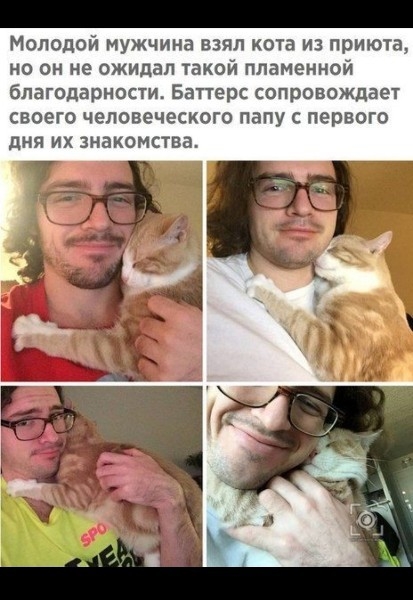 Молодой мужчина взял кота из приюта но он не ожидал такой пламенной благодарноаи Баперс сопровождаем своего человеческого папу с первого дня их знакомства
