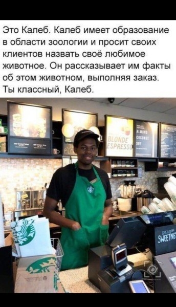 Это Капеб Капеб имеет образование в области зоологии и просит своих клиентов назвать свое любимое животное Он рассказывает им факты об этом животном выполняя заказ Ты классный Капеб