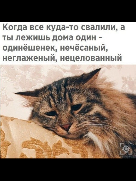 Когда все куда то свалили а ты лежишь дома один одинёшенек нечёсаный негпаженый нецелованный