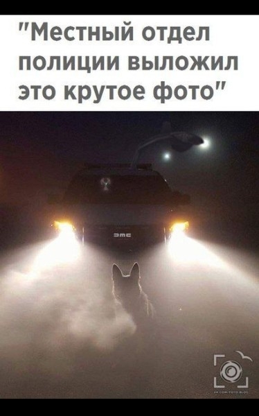 Местный отдел полиции выложил это крутое фото