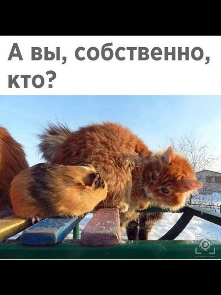 А вы собственно кто