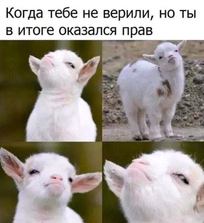Когда тебе не верили но ты в итоге оказался прав