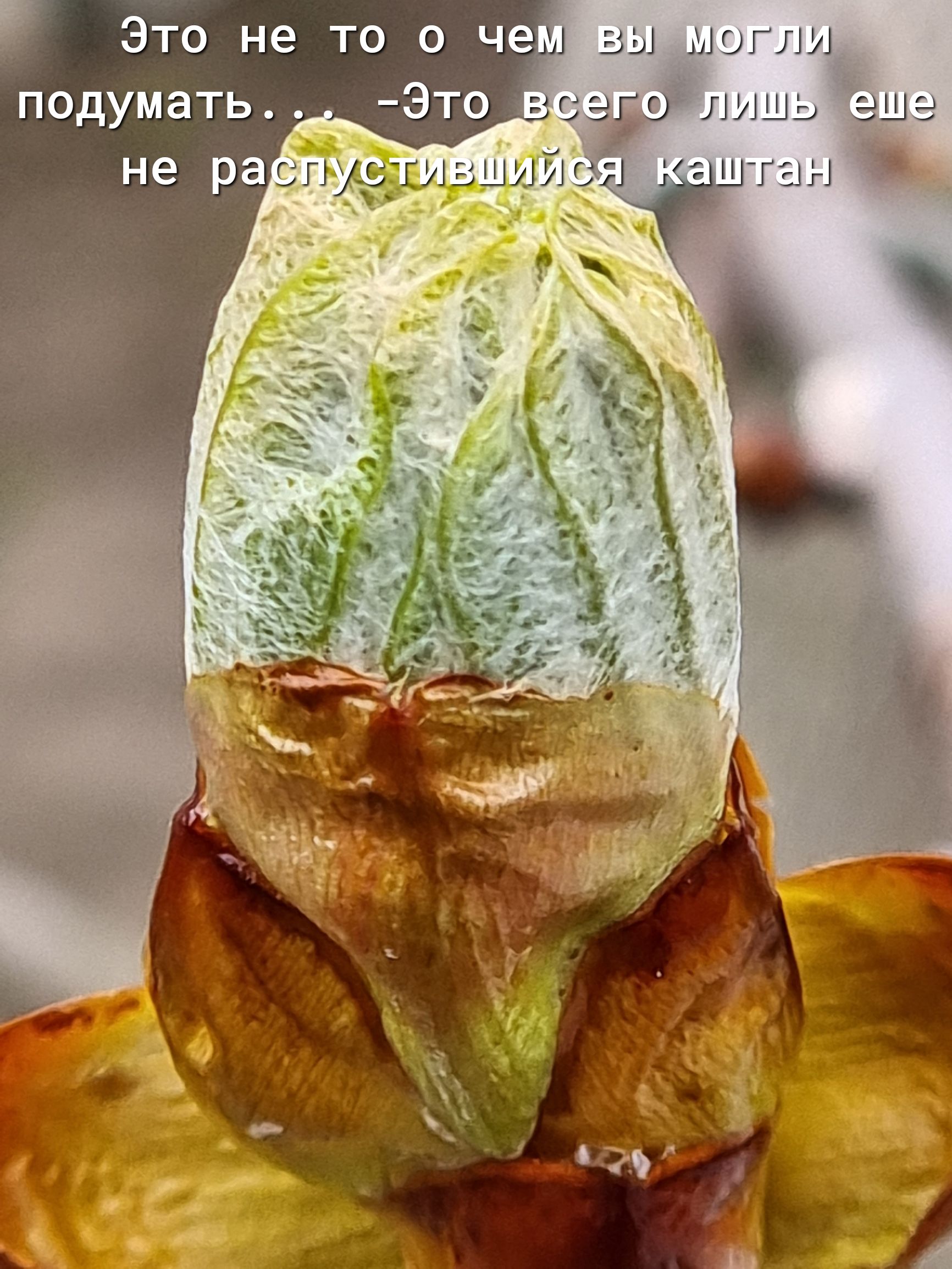 оглу и В М 9 Ч 0 О Т 9 Н О Т 3 Ь Т а м У д 0 п Ё