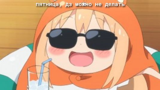 днищ в из и