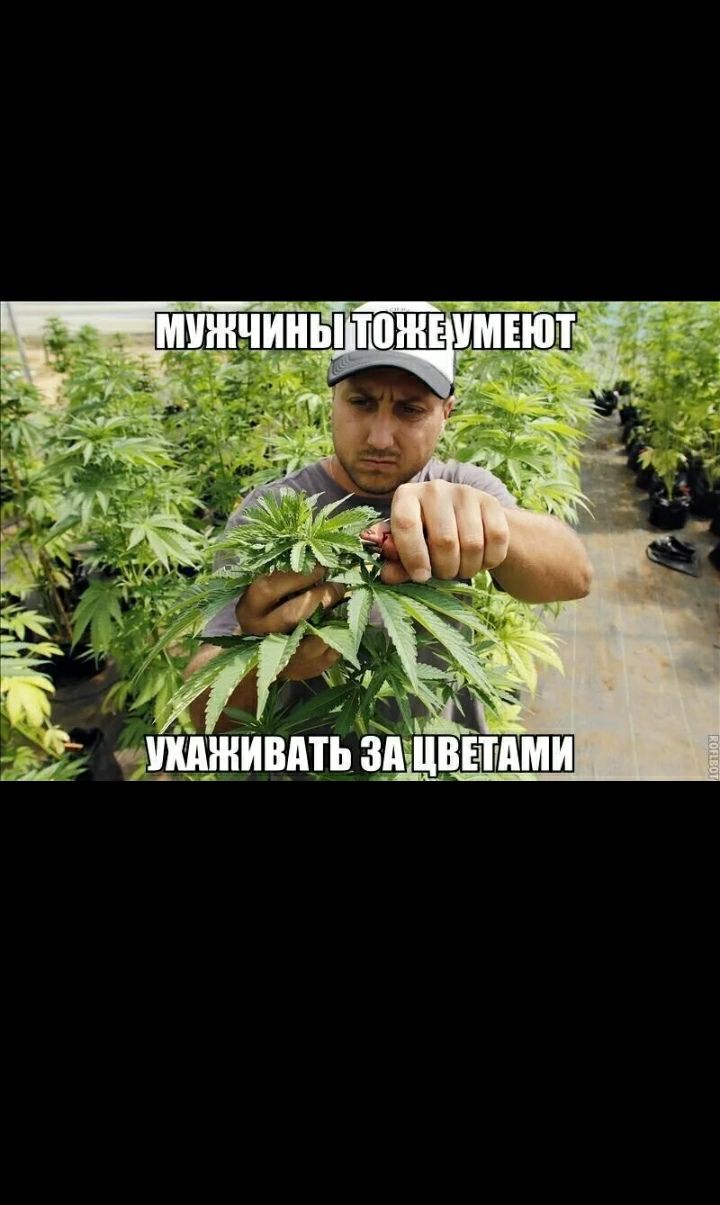 ешднивдть шинами