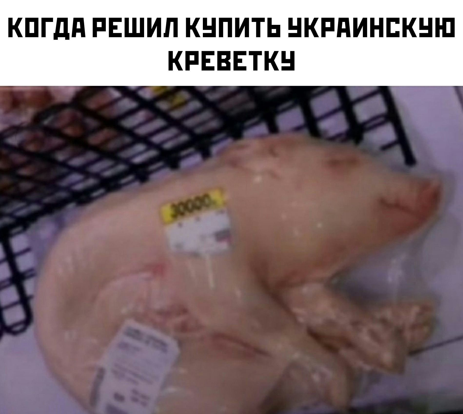 КПГдд РЕШИЛ КНПИТЬ НКРПИНЕКНШ КРЕВЕТКН