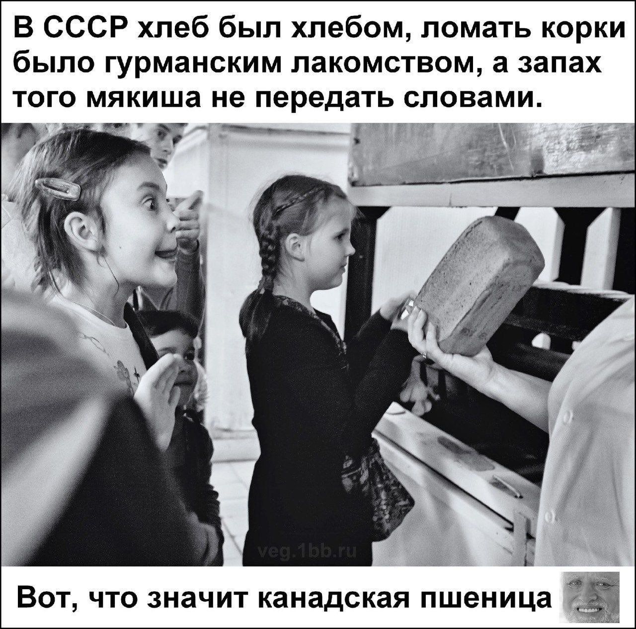 В СССР хлеб был хлебом ломать корки было гурманским лакомством а запах того мякиша не передать словами Вот что значит канадская пшеница