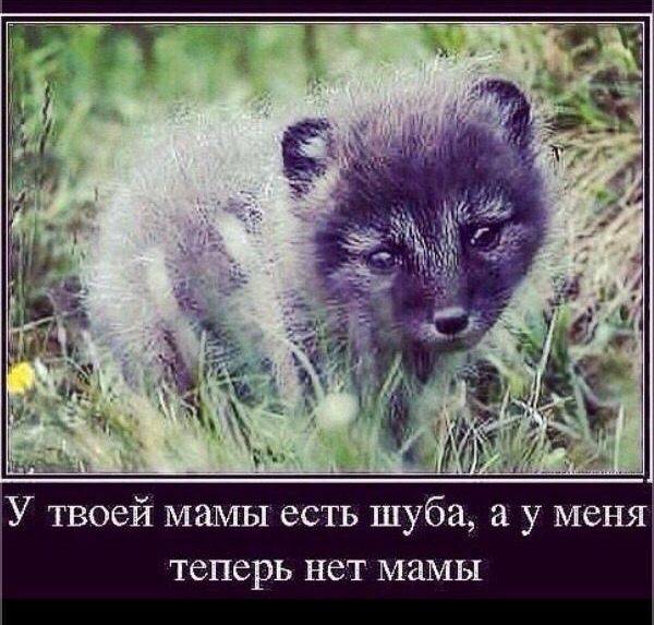 я н В М У 3 а _ 6 У ш и С 6 М теперь НбТ ММЫ У твоей