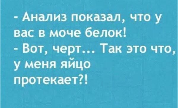 Анализ показал что у вас в моче белок 5 Вот черт Так это чтоЁ у меня яйцо протекает