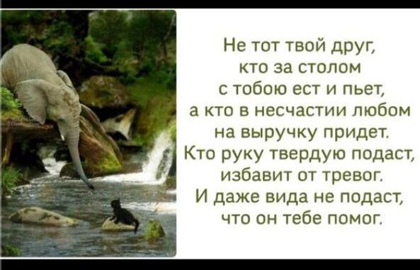 Не тот твой друг кто за столом с тобою ест и пьет а кто в несчастии любом на выручку придет Кто руку твердую подаст избавит от тревог И даже вида не подаст что он тебе помог