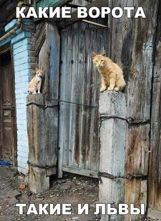 а рпг КАКИЕВОВОЁЁЁА ы ут д