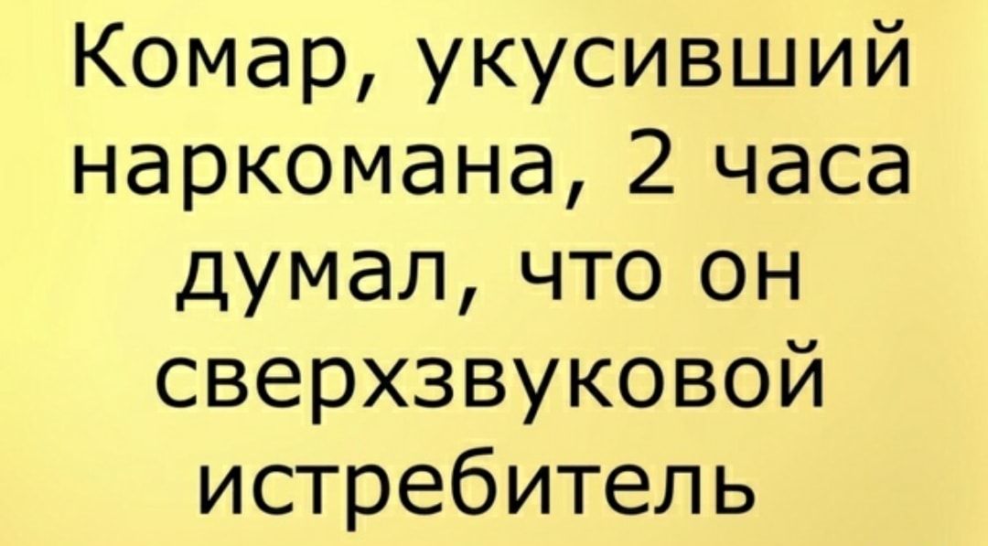 Комар укусивший наркомана 2 часа думал что он сверхзвуковой истребитель