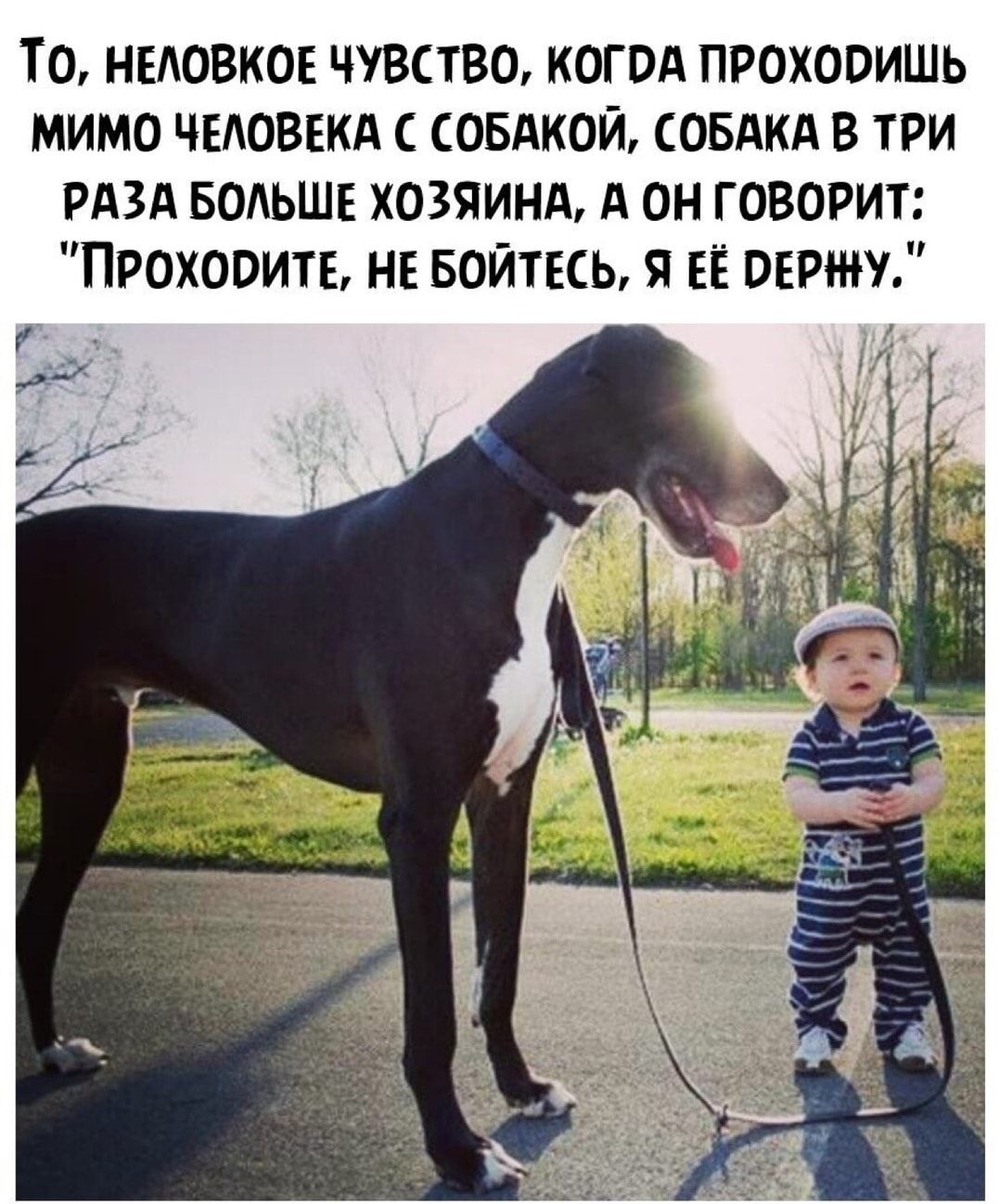 ТО НЕАОВКОЕ ЧУВСТВО КОГОА ПРОХООИШЬ МИМО ЧЕАОВЕКА СОБАКОЙ СОБАКА В ТРИ РАЗА БОЛЬШЕ ХОЗЯИНА А ОН ГОВОРИТ