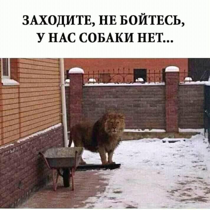 ЗАХОДИТЕ НЕ БОЙТЕСЬ У НАС СОБАКИ НЕТ