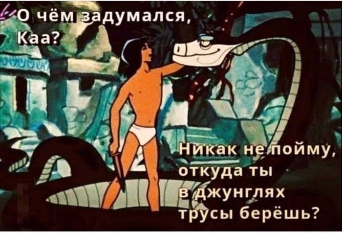 ЪЁ Гттакз ойму откуда ты Уіп Джунглях тгусы берёшь