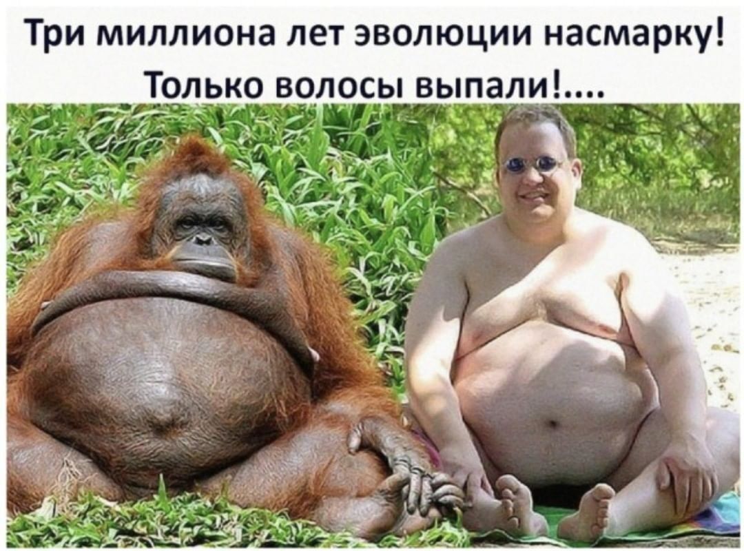 Три миллиона лет эволюции насмарку