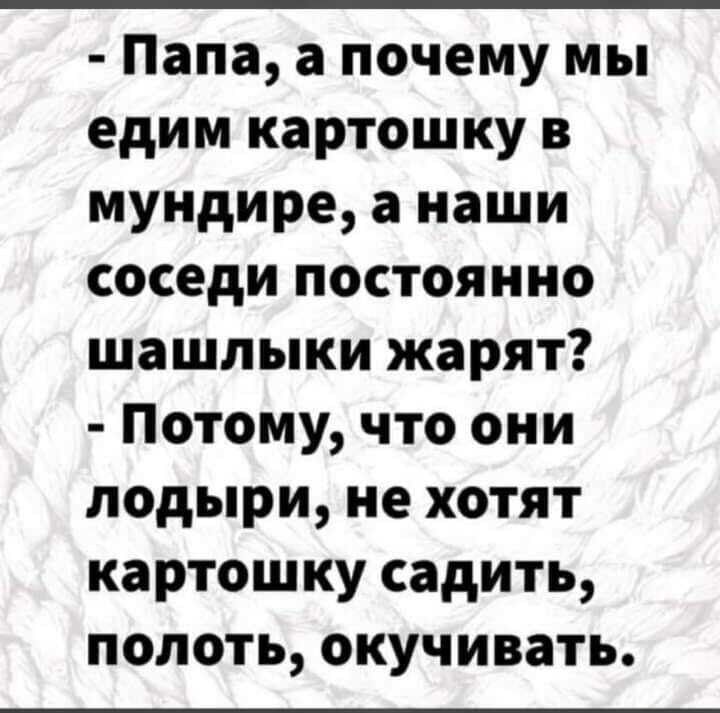Папа а почему мы едим картошку в мундире а наши соседи постоянно шашлыки жарят Потому что они лодыри не хотят картошку садить полоть окучивать