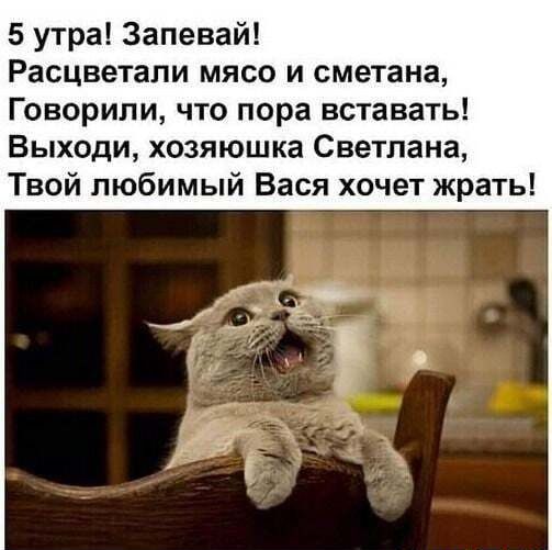 5 утра Запевай Расцветали мясо и сметана Говорили что пора вставать Выходи хозяюшка Светлана Твой любимый Вася хочет жрать