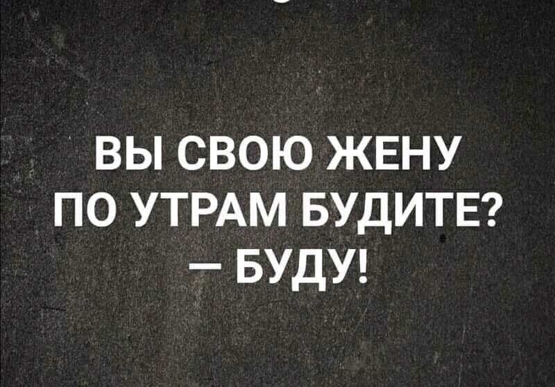 ВЫ СВОЮ ЖЕНУ ПО УТРАМ БУДИТЕ БУДУ