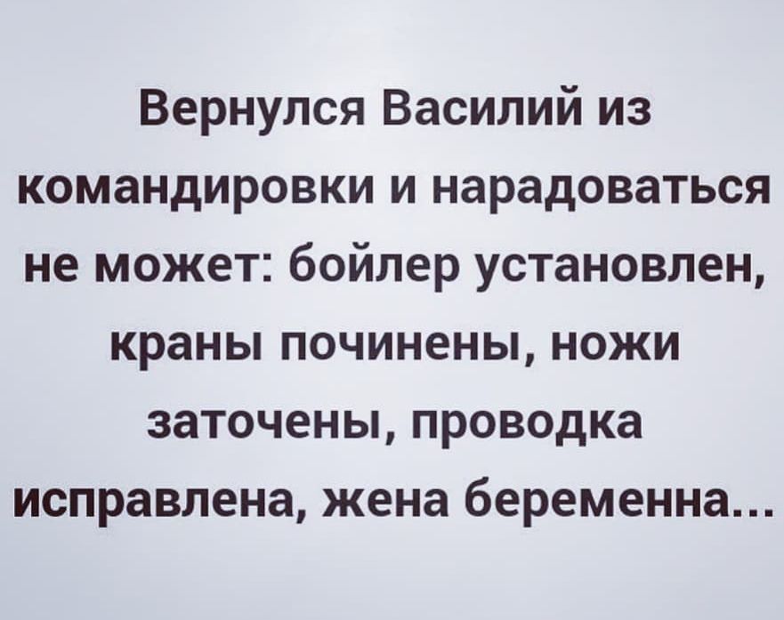Вернулся Василий из командировки и нарадоваться не может бойлер установлен краны починены ножи заточены проводка исправлена жена беременна