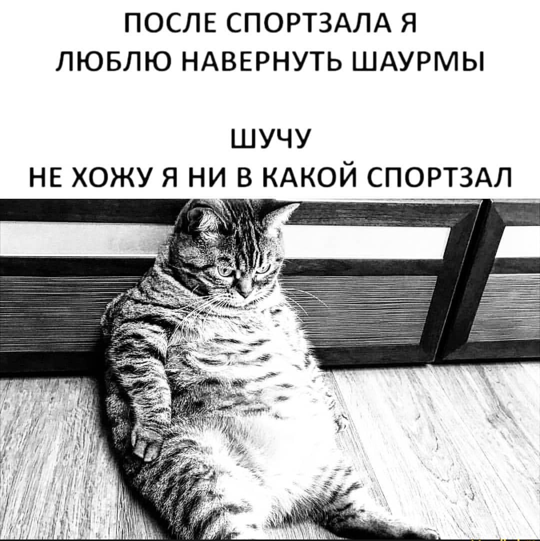 ПОСЛЕ СПОРТЗАЛА Я ЛЮБЛЮ НАВЕРНУТЬ ШАУРМЫ ШУЧУ НЕ ХОЖУ Я НИ В КАКОЙ СПОРТЗАЛ_