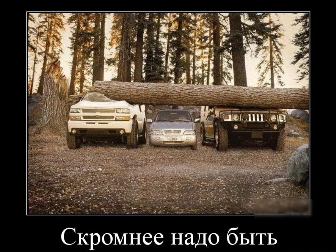 Скромнее надо быть