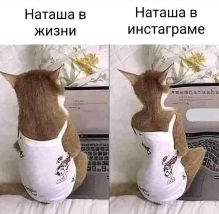 Наташа в Наташа в жизни инстаграме