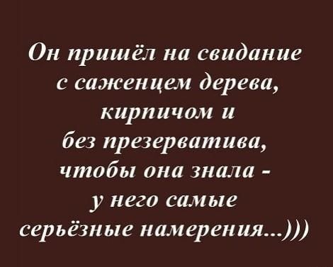 Он пришёл на свидание с саженцем дерева кирпичом и без презерватива чтобы она знала у него самые серьёзные намерения