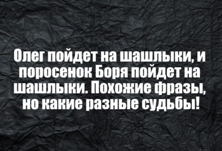 плот пойдет на шащпыни и попооонон Бооп поидет на шашпыни Похожие шпазы но нонио разные судьбы
