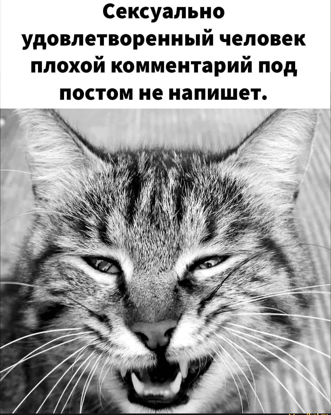 Сексуально удовлетворенный человек плохой комментарий под постом не напишет