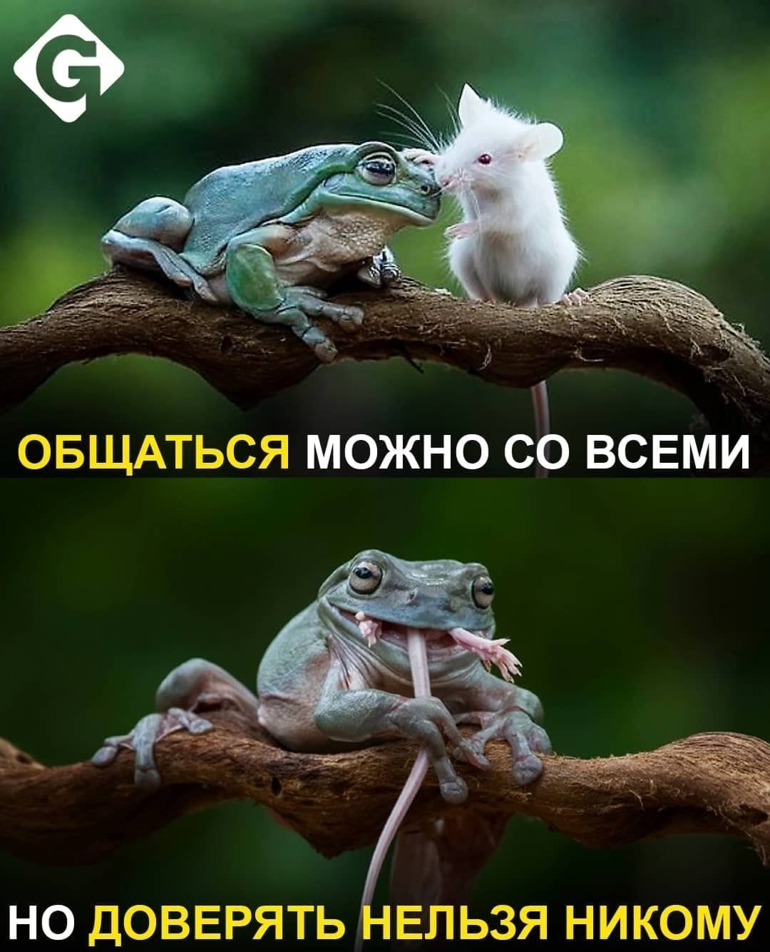 НО ДОВЕРЯТЬ ЕЛЬЗЯ НИКОМУ