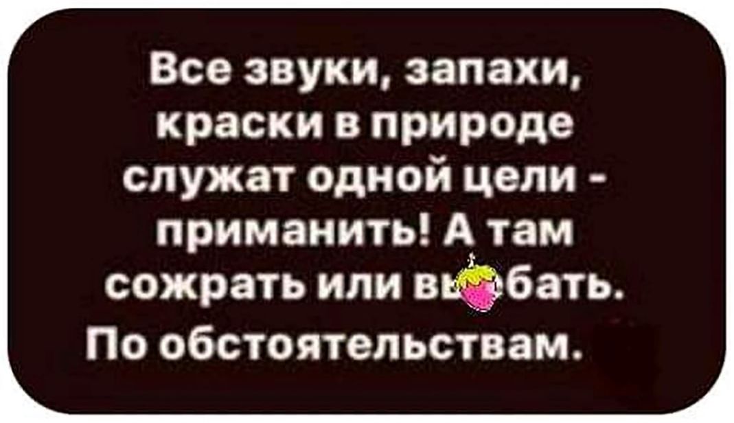 Все звуки запахи краски в природе служат одной цепи приманить А_ там сожрать или вфбать По обстоятельствам