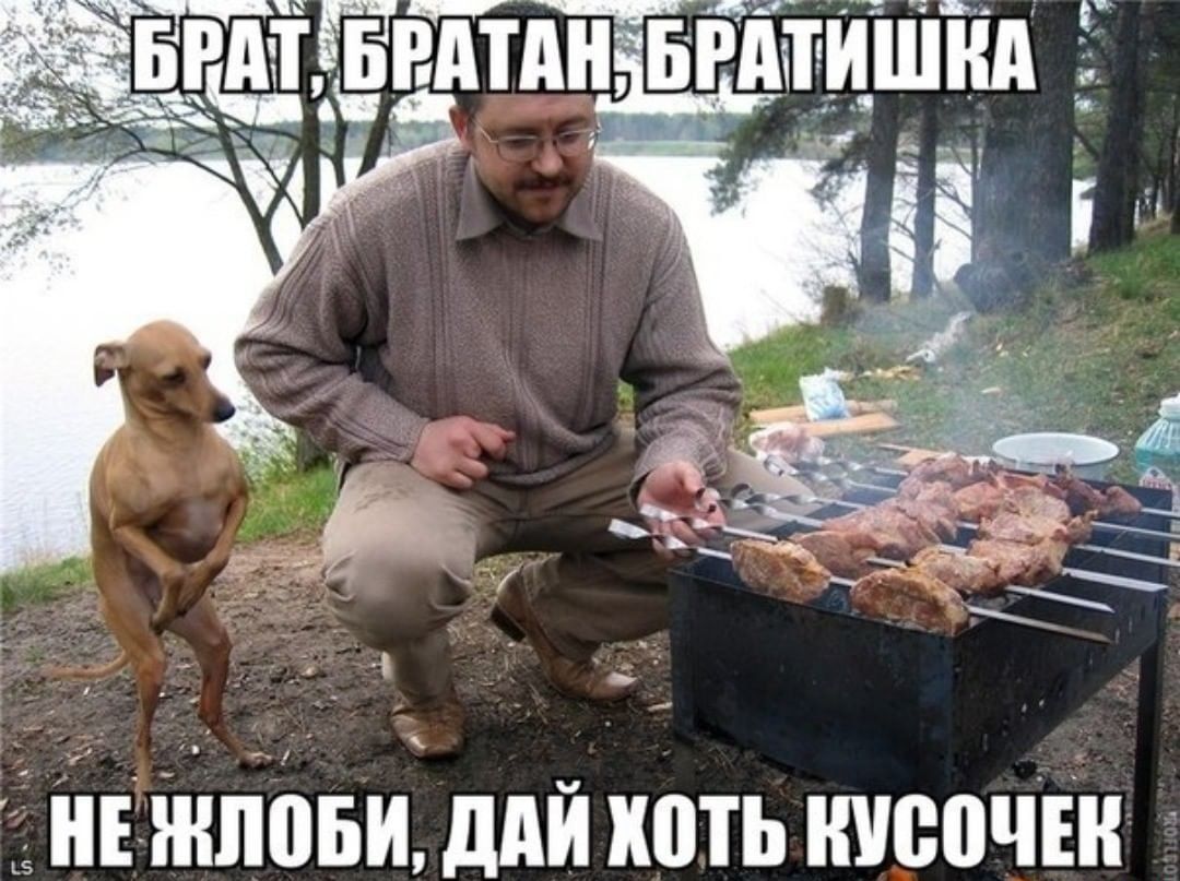 Не нлоби. Дай коть кусочек
