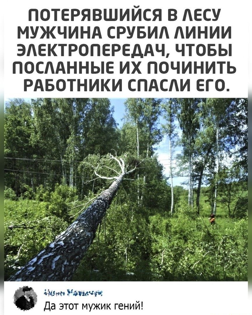 ПОТЕРЯВШИЙСЯ В АЕСУ МУЖЧИНА СРУБИА АИНИИ ЭАЕКТРОПЕРЕДАЧ ЧТОБЫ ПОСАННЫЕ ИХ ПОЧИНИТЬ РАБОТНИКИ СПАСИ ЕГО от Удачи Да этот мужик гений
