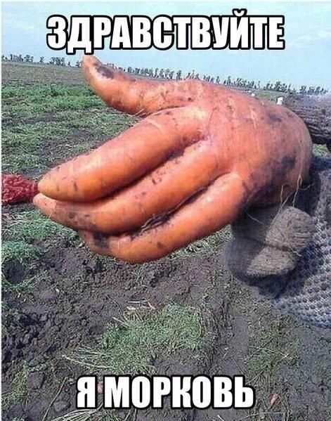 Ъ у . Т