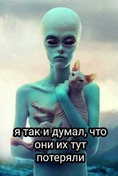 потеряли так и думал Чт они итут