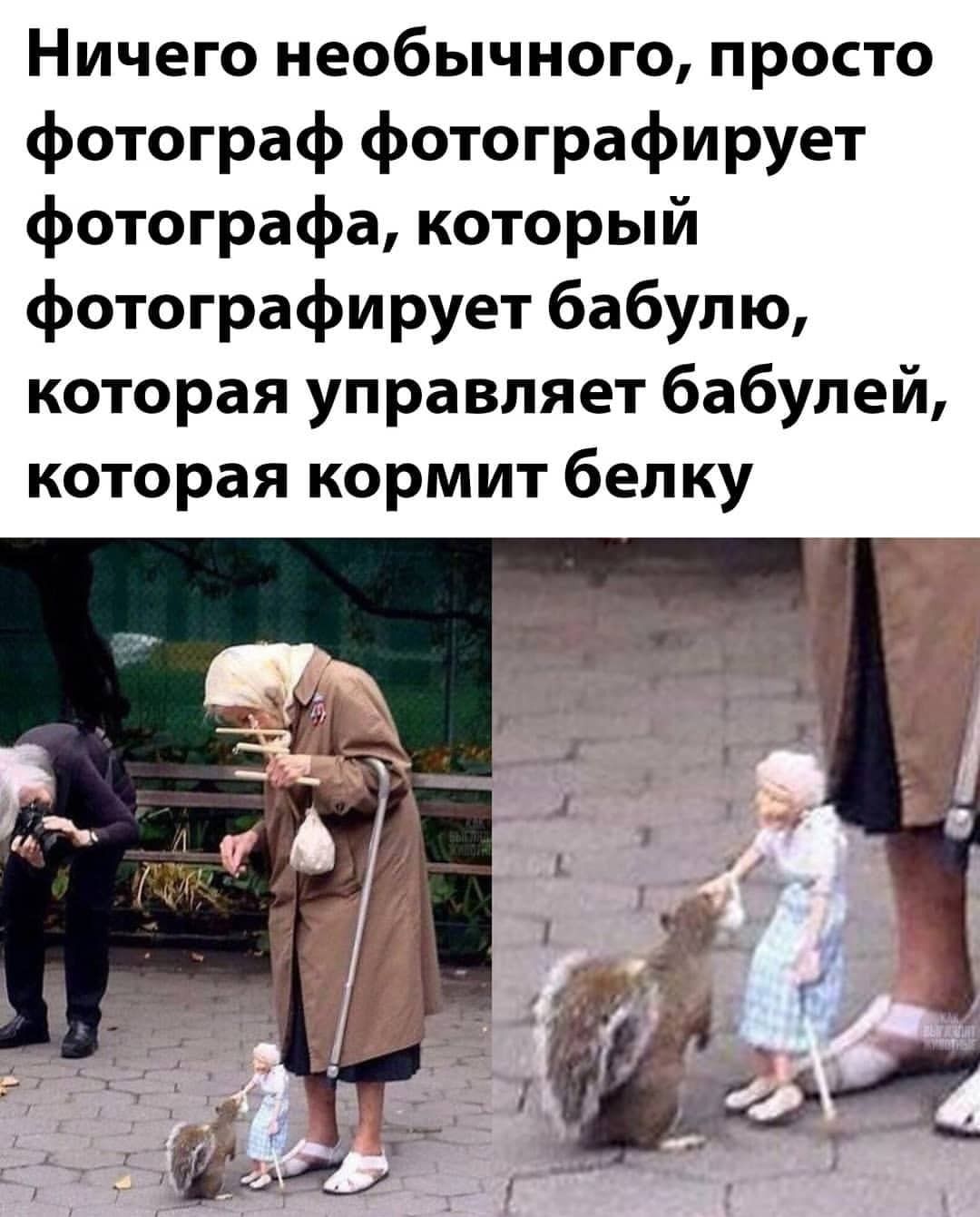 Ничего необычного просто фотограф фотографирует фотографа который фотографирует бабулю которая управляет бабулей которая кормит белку