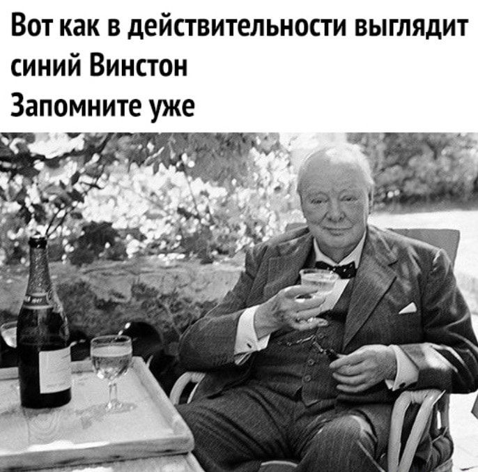 Вот как в действительности выглядит синий Винстон Запомните уже