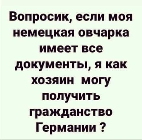Вопросик еспи моя немецкая овчарка имеет все документы я как хозяин могу получить гражданство Германии