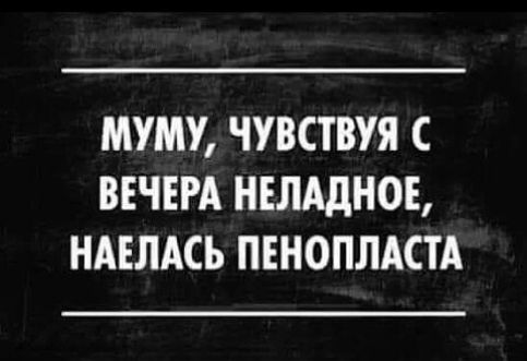 МУМУ ЧУВСТВУЯ С ВЕЧЕРА НЕЛАДНОЕ НАЕЛАСЪ ПЕНОПЛАСТА