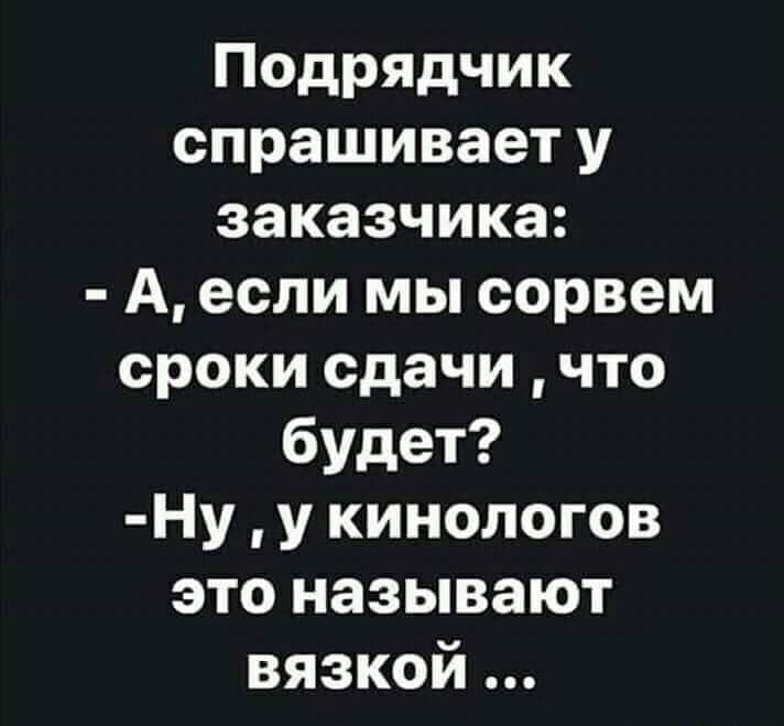 Подрядчик спрашивает у заказчика А если мы сорвем сроки сдачи что будет Ну у кинологов это называют вязкой