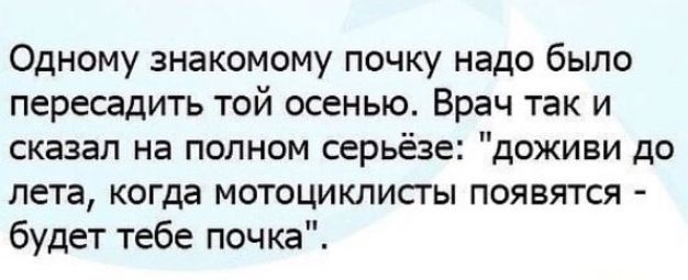 Одному знакомому почку надо было пересадить той осенью Врач так и сказал на полном серьёзе доживи до лета когда мотоциклисты появятся будет тебе почка
