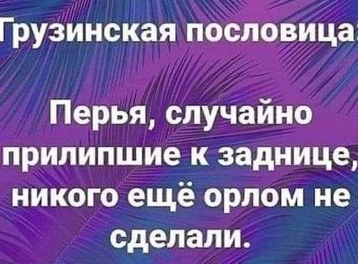ГрузйнсКая пбцлбвийё Перья случайно прилипшие к заднице никого ещё орлом не сделали